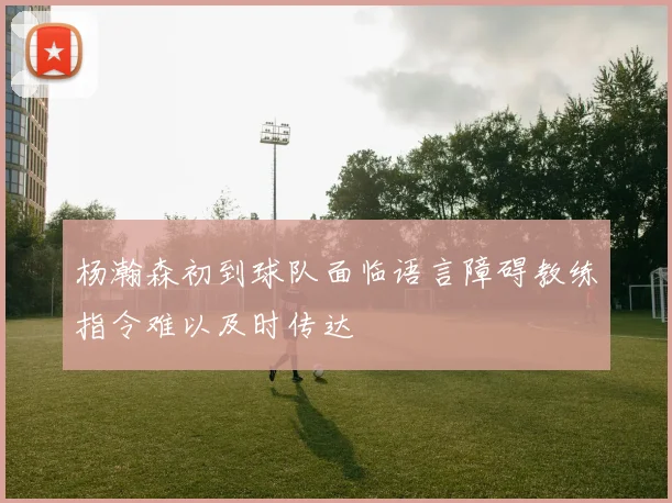 杨瀚森初到球队面临语言障碍教练指令难以及时传达